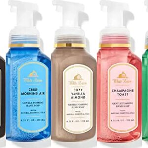 Bath and Body Works Gentle Foaming Hand Soap Kitchen Basics - Cozy Vanilla Almond, Crisp Morning Air, Mahogany Teakwood, Champagne Toast, White Tea and Sage, 8.75, Pack of 5
