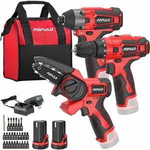 12V Cordless Power Tool Combo Kits, 3-1/2" Brushless Electric Mini Chainsaw, 3/8" Power Drill Driver, 1/4" Impact Driver Set with 2Pcs 2.0Ah Lithium Batteries for Household Projects and DIY (3-Tool)