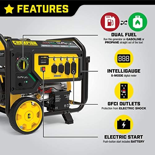 Champion Power Equipment 100891 9375/7500-Watt Dual Fuel Portable Generator, Electric Start - Image 3